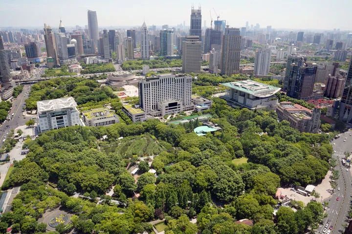 pic_010.jpg