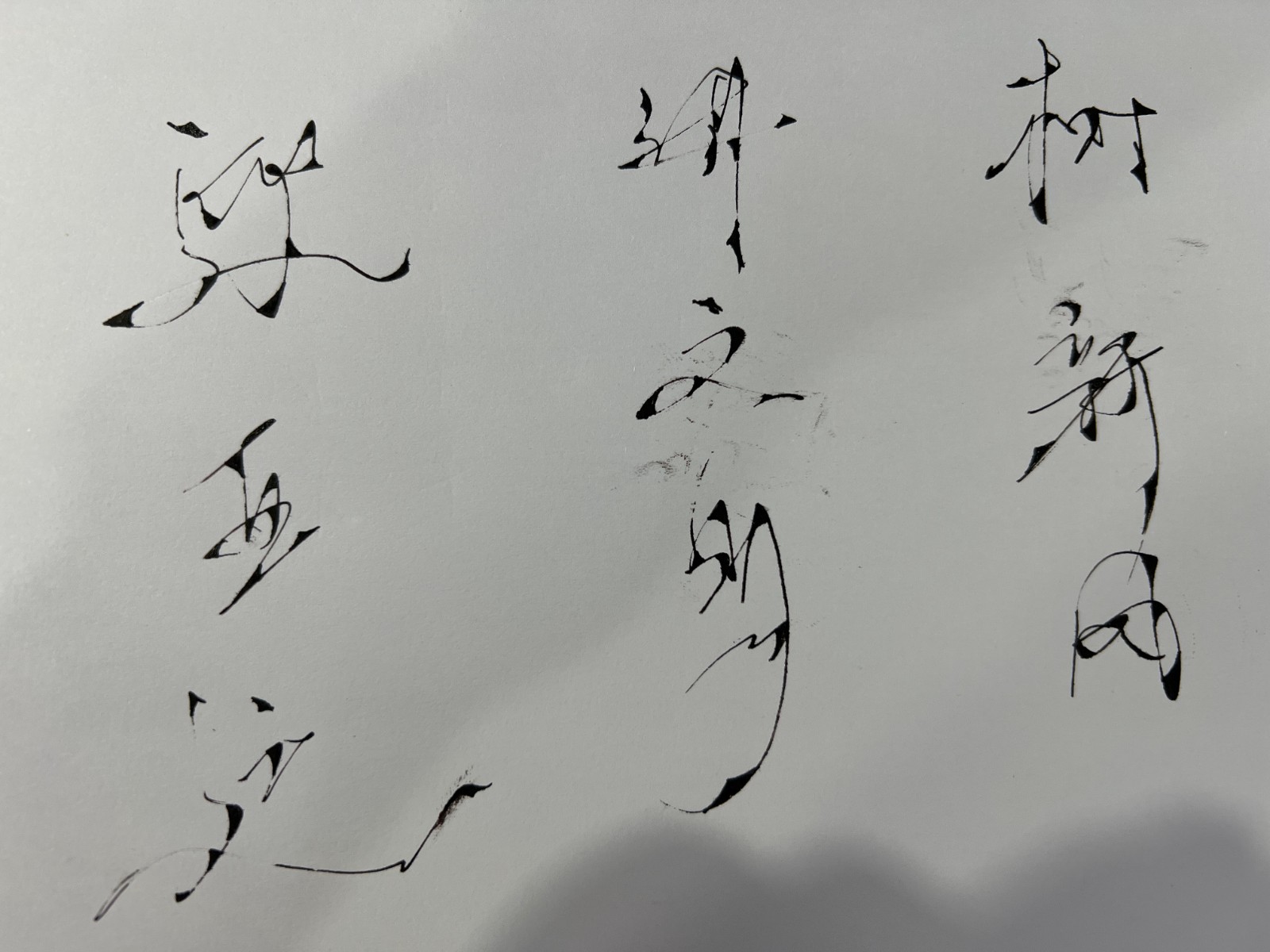 765朱佶苗 《迎亚运》.jpg