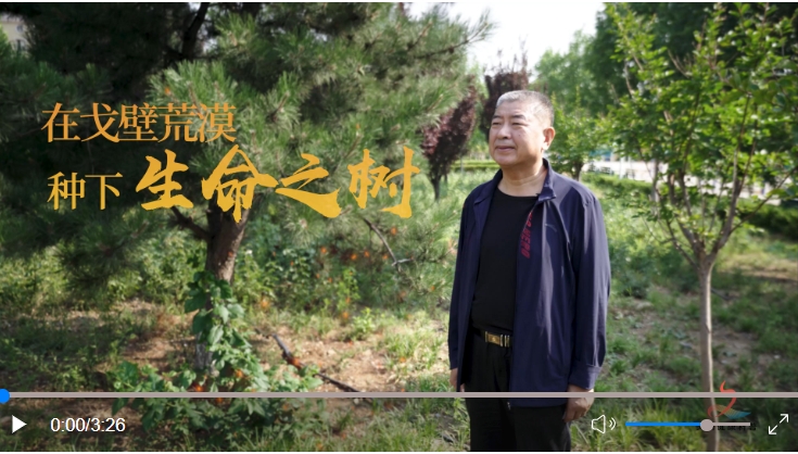 在戈壁荒漠种下生命之树.jpg