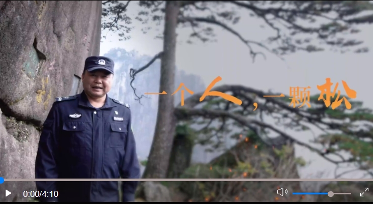 一个人，一棵松.jpg