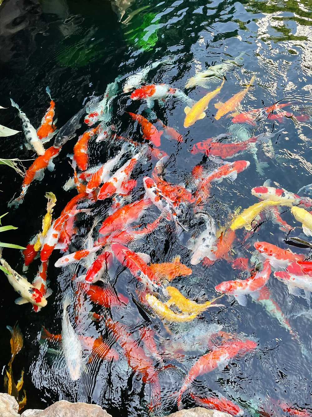 1088刘俊彤 《迎着光逆流而上》.jpg