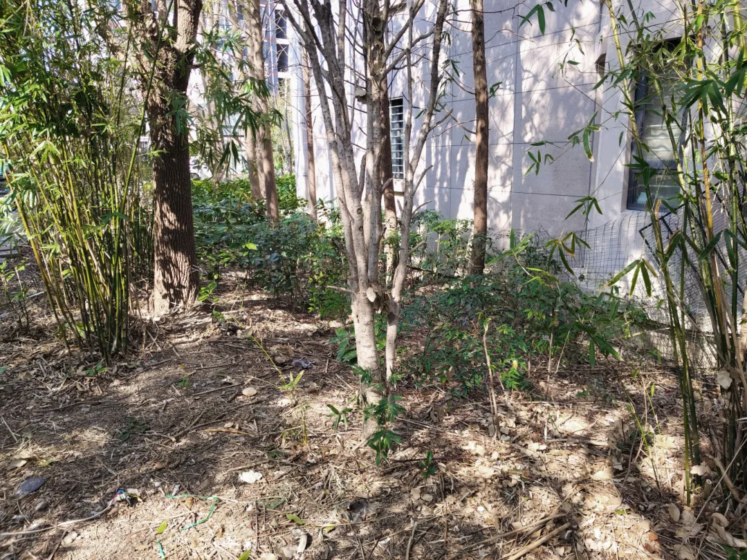 pic_006.png