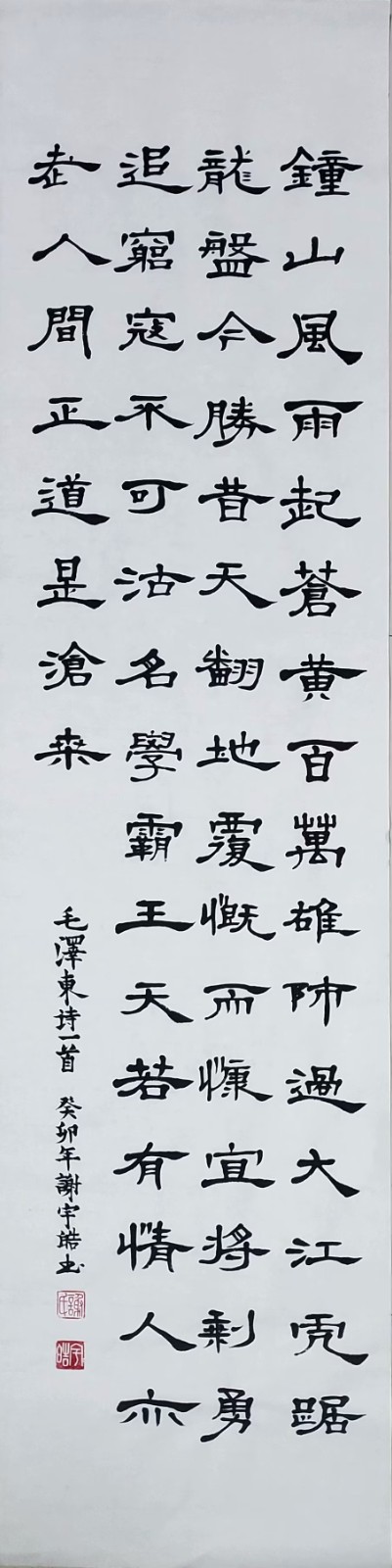 355谢宇皓 《人民解放军占领南京》.jpeg