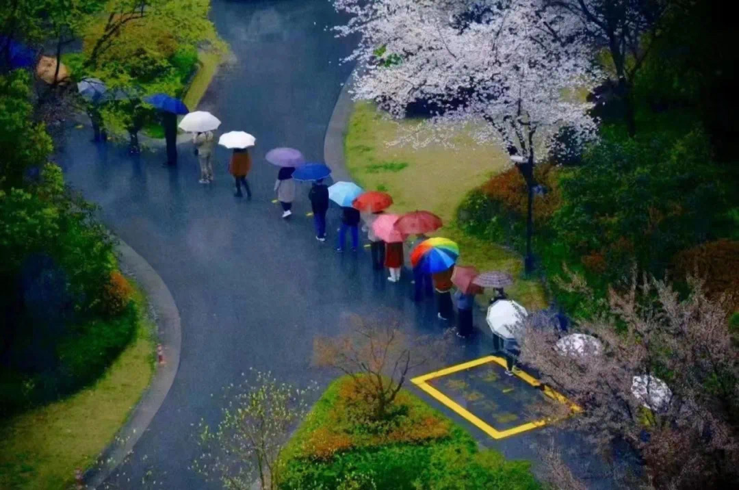 1200郭胤弘 《雨中彩虹》.jpeg
