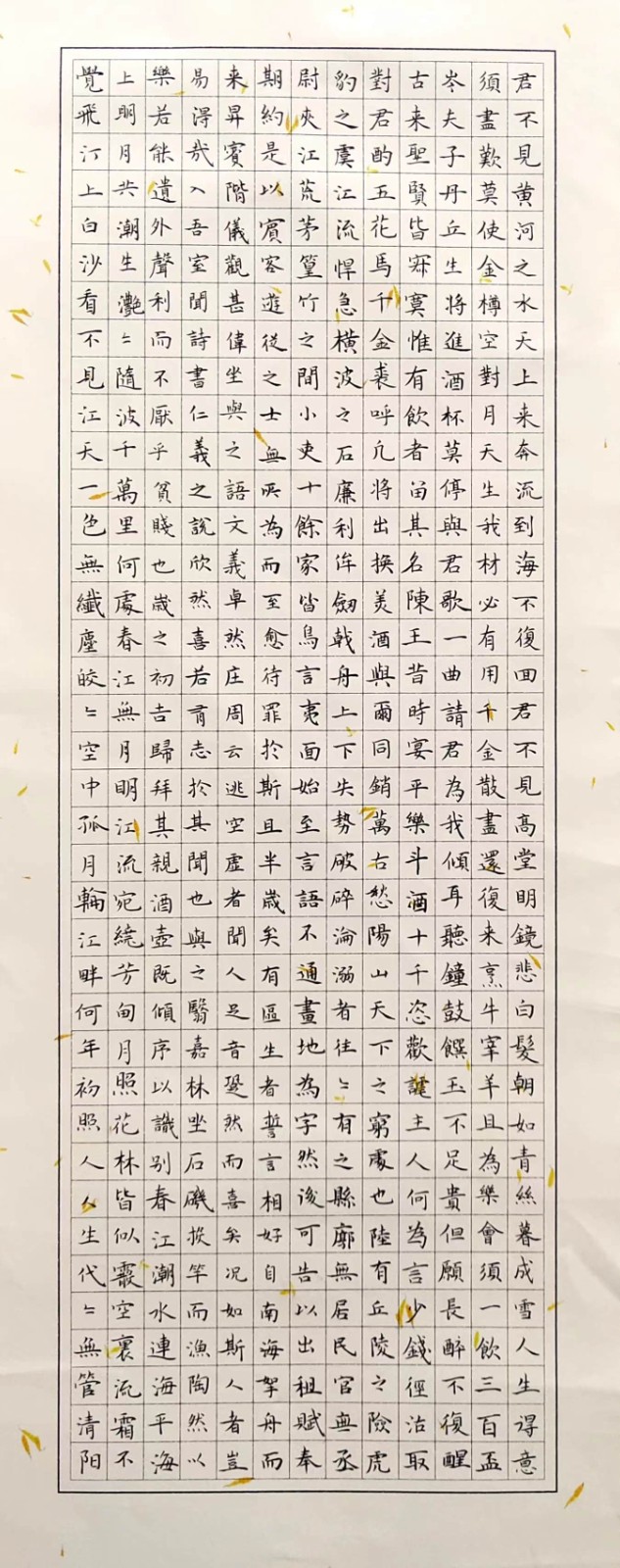 937管清阳 《将进酒》.jpg