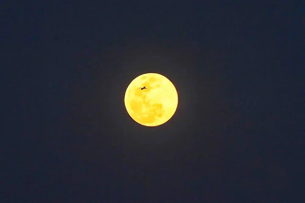 pic_003.jpg