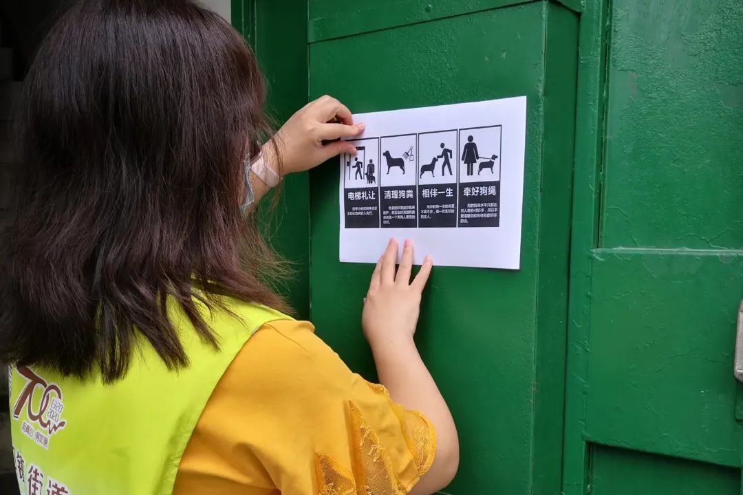 普陀:争做文明养宠人!普陀真如开展文明养宠宣传整治行动—各区联播—文明上海