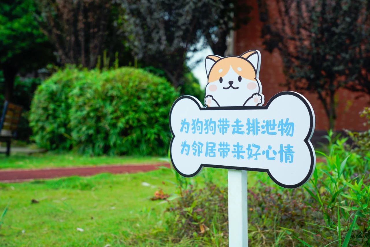 宝山：这个社区爱“宠”有方，去看看吧！—各区联播—文明上海