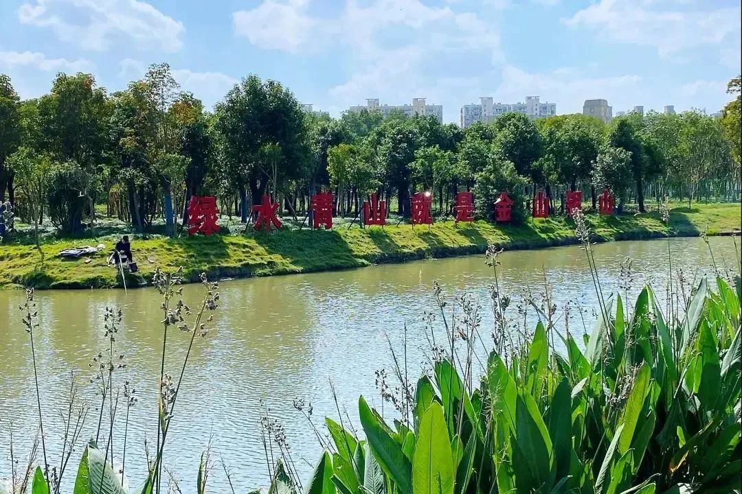 擦亮人居环境新底色,宝山这里打造美丽乡村新面貌—创建进行时—文明上海